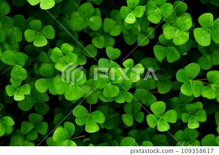 St. Patrick's Day concept: Natural green foliage of shamrocks. Generative AI. 109358617