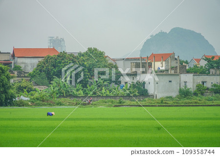 尼賓的風景 尼賓的風景 109358744