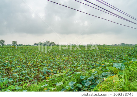 尼賓的風景 尼賓的風景 109358745