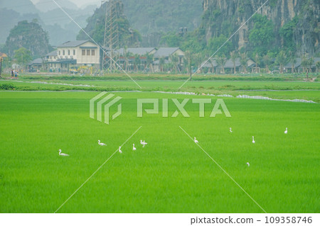 尼賓的風景 尼賓的風景 109358746