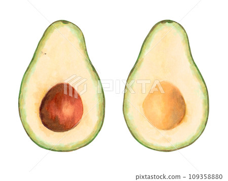 Cutaway avocado fruit with pit.Vegan organic food product for natural product packaging, design menu, web.Marker illustration in watercolor style.Green fruit.Isolated hand art. 109358880
