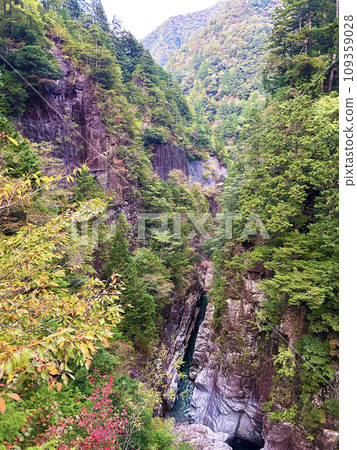Valley reflected in autumn leaves 109359028