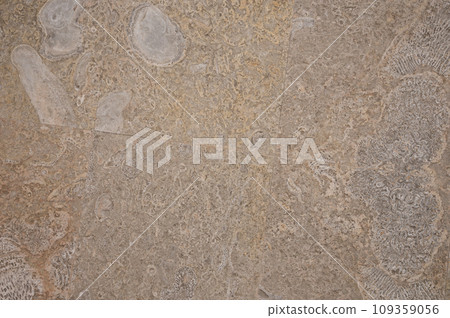 Cream color sea tiles background Cream color sea tiles background 109359056