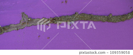 Tunnel of termites colony Tunnel of termites colony 109359058