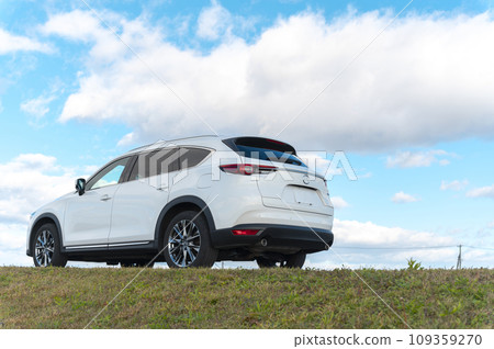 white SUV type passenger car 109359270