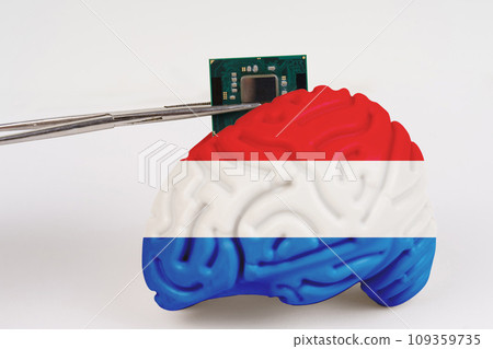 On a white background, a model of the brain with a picture of a flag - Netherlands, a microcircuit, a processor, is implanted into it. 109359735
