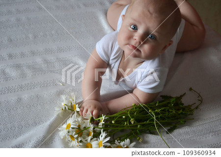 Children concept. A baby with blue eyes, in a white bodysuit, lies on a table on a beige blanket and tightly holds a daisy flower in his hand. looks at the camera. 109360934