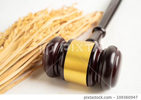 Judge gavel hammer with good grain rice from agriculture farm. Law and justice court concept. 109360947