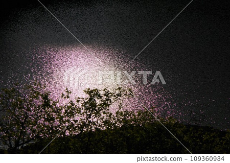 Light reflected to the water surface 109360984