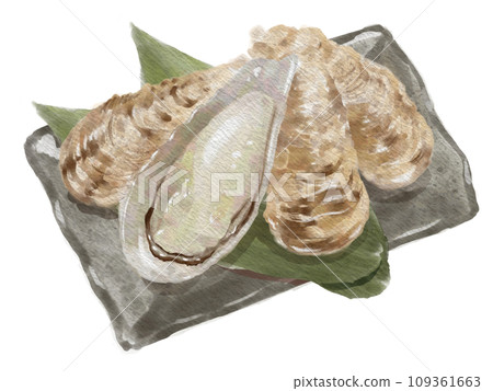 水彩牡蠣01_5 水彩牡蠣01_5 109361663