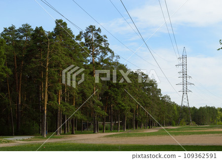 High power lines stand in the clearing of the green forest 109362591
