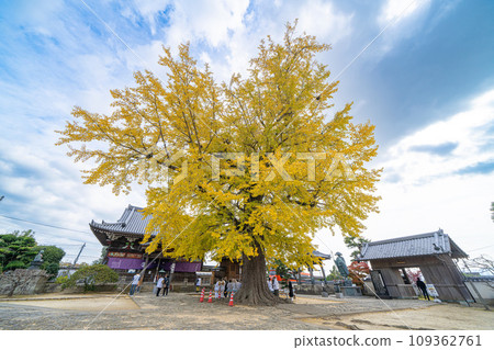 [不. 5 Fudasho] 地藏寺 Tarachine Daiginko [四國 88 個地方] 109362761