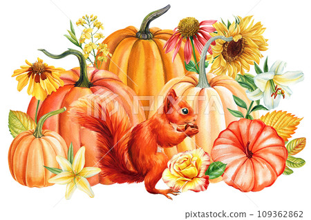 Squirrel, cone, pumpkin, sunflower and leaf maple, watercolor hand drawing. Autumn fall composition, Cute animal poster 109362862