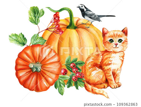 Cute ginger kitten, pumpkin, bird and flowers, watercolor hand drawing. Autumn composition, cute cat 109362863
