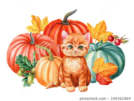 Cute kitten, pumpkin and maple leaves, rosehip,, watercolor hand drawing. Autumn composition, Happy cat Cute kitten, pumpkin and maple leaves, rosehip,, watercolor hand drawing. Autumn composition, Happy cat 109362864