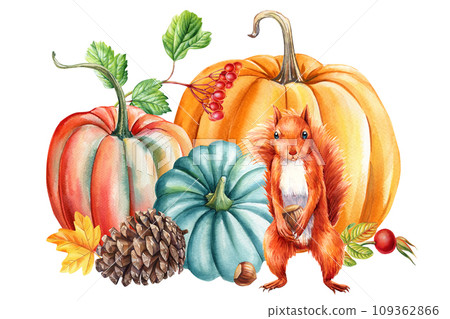 Cute squirrel, cone, pumpkin and leaves maple, watercolor hand drawing. Autumn fall composition 109362866