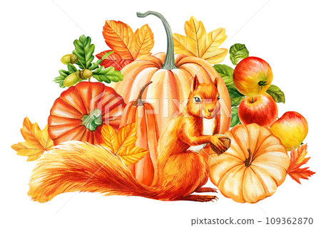 Cute squirrel, cone, pumpkin and leaves maple, watercolor hand drawing. Autumn fall composition 109362870