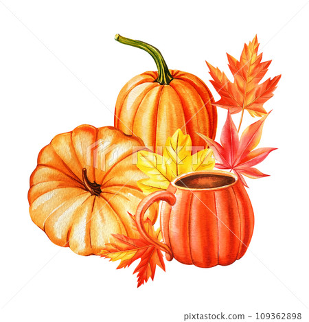 Watercolor sunflower, pumpkin and colorful leaves, autumn clipart. Watercolor floral illustration. Hand drawn pumpkins Watercolor sunflower, pumpkin and colorful leaves, autumn clipart. Watercolor floral illustration. Hand drawn pumpkins 109362898