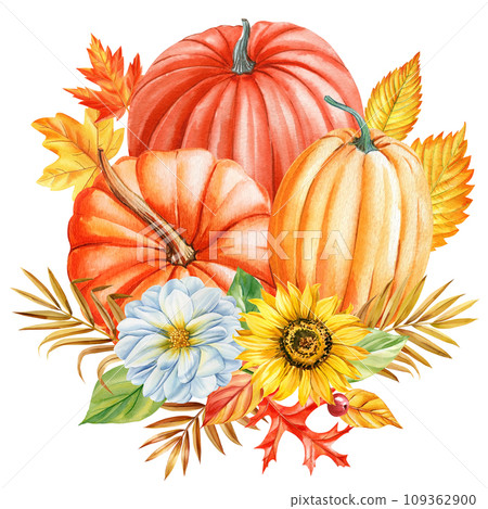 Watercolor sunflower, pumpkin and colorful leaves, autumn clipart. Watercolor floral illustration. Hand drawn pumpkins Watercolor sunflower, pumpkin and colorful leaves, autumn clipart. Watercolor floral illustration. Hand drawn pumpkins 109362900