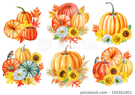 Watercolor sunflower, pumpkin and colorful leaves, autumn clipart. Watercolor floral illustration. Hand drawn pumpkins Watercolor sunflower, pumpkin and colorful leaves, autumn clipart. Watercolor floral illustration. Hand drawn pumpkins 109362901