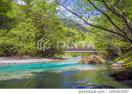 【初夏的上高地】田代橋周圍的新綠色和梓川的流淌 109363097