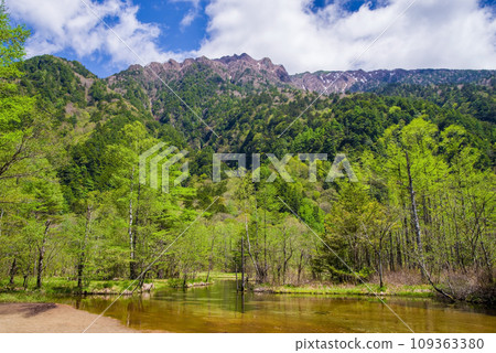 [Spectacular view of Kamikochi] Tashiro Pond and Mt. Rokuhyaku in early summer with dazzling fresh greenery 109363380