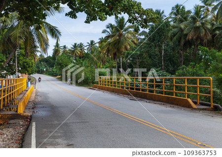 An empty road perspective with yellow railings and palm trees on a background 109363753