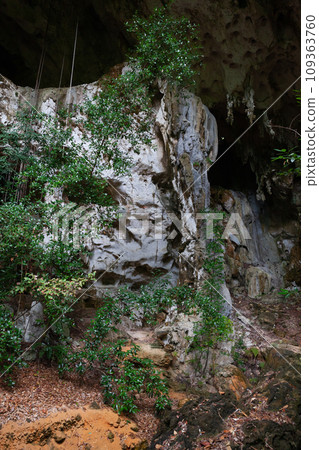 View of caves in national park Los Haitises. Samana Gulf, Dominican Republic 109363760