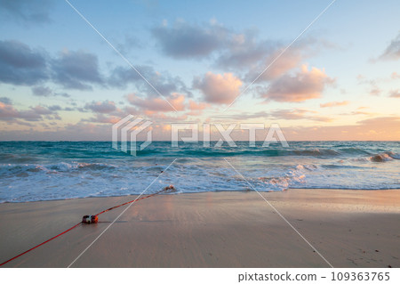 Bavaro beach. Coastal morning landscape 109363765