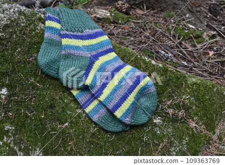 a pair of woolen socks on a stone in the forest 109363769