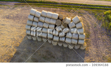 Many twisted dry wheat straw in roll bales on field during sunset sunrise. Large bales straw after harvest twisted into rolls on field. Rural sunny landscape, countryside scenery. Aerial drone view, Many twisted dry wheat straw in roll bales on field during sunset sunrise. Large bales straw after harvest twisted into rolls on field. Rural sunny landscape, countryside scenery. Aerial drone view, 109364188