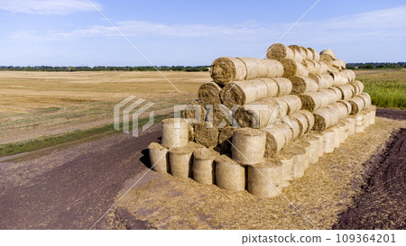 Many bales of straw in the field. Many bales rolls of wheat straw stacked together in field after harvest on summer day. Agricultural agro-industrial agrarian field. agribusiness. Aerial drone view. 109364201