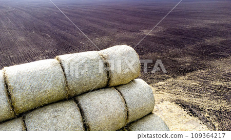 Many bales of straw in the field. Many bales rolls of wheat straw stacked together in field after harvest on summer day. Agricultural agro-industrial agrarian field. agribusiness. Aerial drone view. Many bales of straw in the field. Many bales rolls of wheat straw stacked together in field after harvest on summer day. Agricultural agro-industrial agrarian field. agribusiness. Aerial drone view. 109364217