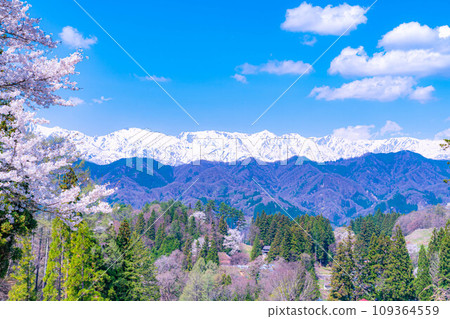 [春天的材料]春天的絕景，小川村番所的櫻花[長野縣] 109364559
