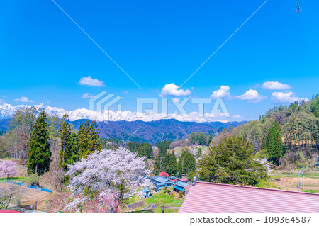 [春天的材料]春天的絕景，小川村番所的櫻花[長野縣] 109364587