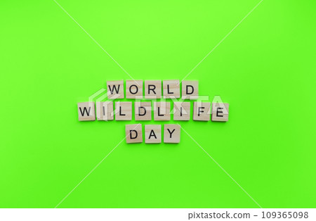 On March 3, World Wildlife Day, a minimalistic banner with an inscription in wooden letters On March 3, World Wildlife Day, a minimalistic banner with an inscription in wooden letters 109365098