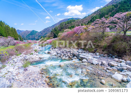 [Togenkyo] Hanamomo no Sato in Achi Village [Nagano Prefecture] 109365173