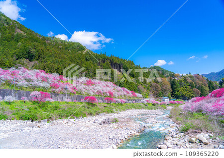 [Togenkyo] Achi村的Hanamomo no Sato [長野縣] 109365220