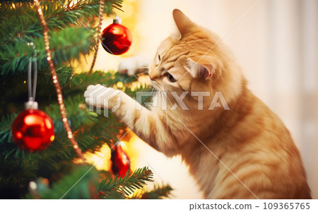 Curious ginger cat gently touching Christmas tree decorations with a paw, in a warm indoor setting 109365765