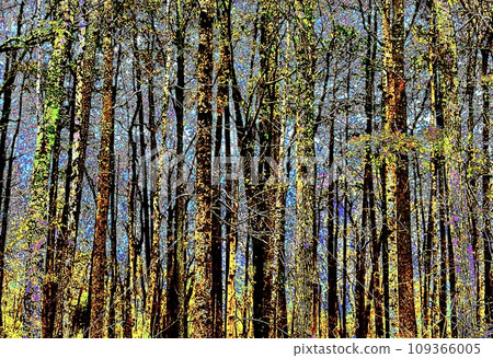 Deep in the forest Deep in the forest 109366005