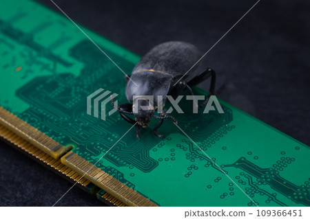 Bug on PC memory circuit board. Computer error concept. Bug on PC memory circuit board. Computer error concept. 109366451