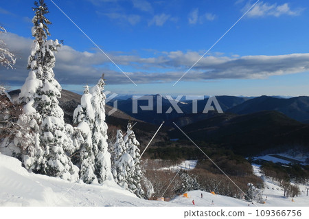 Winter scenery seen from near the summit of Mt. Osorakan (Akiota Town, Yamagata District, Hiroshima Prefecture, Japan) 109366756