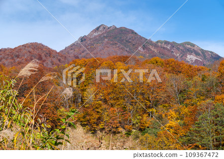 甘石山的陽光 109367472