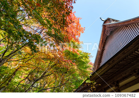 Rei Matsudera的主要寺廟 109367482