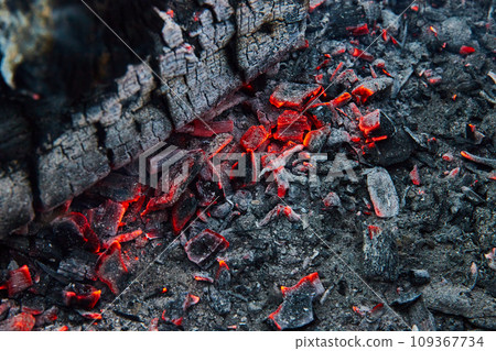 Close up of red embers in pit of ashes with chunk of black log and cracked surface 109367734
