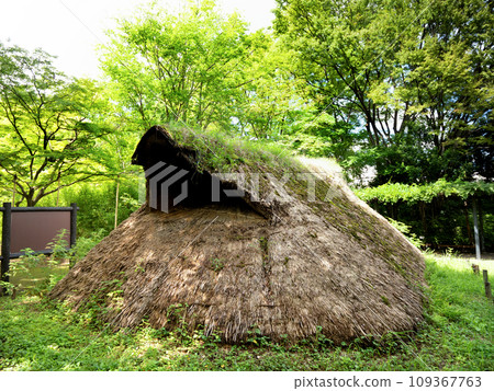 修復後的坑式住宅,東京 修復後的坑式住宅,東京 109367763