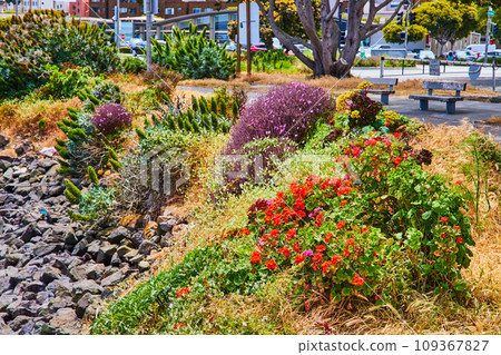 Gray rocks leading up sloped hill covered in flowers and succulents with park benches on top 109367827