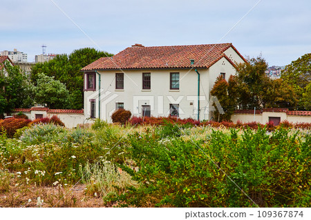 Overgrown area with wildflowers and succulents in front of Fort Mason building Overgrown area with wildflowers and succulents in front of Fort Mason building 109367874