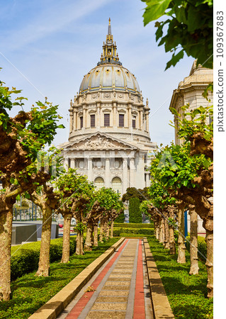Pathway through trees in city hall memorial court in San Francisco 109367883