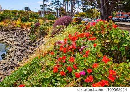 Water next to grey rocks leading up sloped hill covered in flowers and succulents Water next to grey rocks leading up sloped hill covered in flowers and succulents 109368014